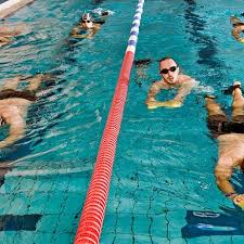 trainingsplan schwimmen techniktraining fur schwimm anfanger und profis trainingsplan schwimmen schwimmen schwimm training