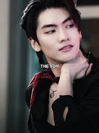 Like father like son😎 #loveintheair #theboynextworld #mystubborn #bos...