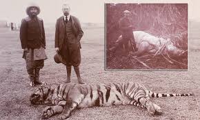 Photos from King George V's 1911 India ...