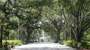 Savannah scene provides a comprehensive view of what this city has to offer in the way of shopping, dining, activities, and events. Things To Do Savannah Ga With Kids 2020 Travel Guide Hotmamatravel