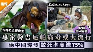 塞巴斯蒂安·席尔瓦 / 赫拉尔多·纳兰霍 / 安德烈斯·拜斯 / 约瑟夫·久保田·瓦拉达卡 编剧: 17hl7us3hdtcom