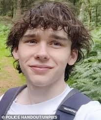 The fact Harvey will always be 17 is unbearable to think of': Mother pays  heartbreaking tribute to 'charismatic and cheeky' son killed in Snowdonia  car crash tragedy