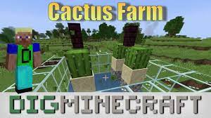 In minecraft, you can build a cactus farm that gives players an unlimited supply of cactus. How To Build A Cactus Farm In Minecraft
