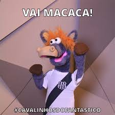 Gremio is currently on the 20 place in the serie a table. Cavalinho Da Ponte Preta Home Facebook