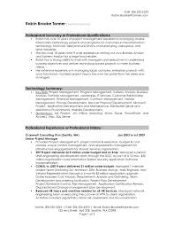 resume professional summary