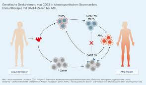 Acute Leukemias 2019 Hematooncology Com Kongressberichte Hamatologie Und Onkologie