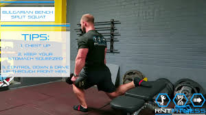 Bulgarian Bench Split Squat Youtube