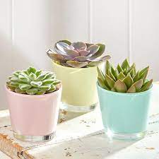 Glass Accessories Particularly Plant Pots And Candle Holders Are Great Ways To Add Colour And Light To Your Home Pastel Bedroom Pastel Room Decor Pastel Decor