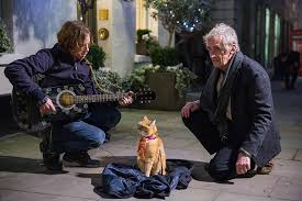 Klik tombol di bawah ini untuk pergi ke halaman website download film a street cat named bob (2016). A Street Cat Named Bob A Real Story Of The Genuine Friendship Youth Time Magazine