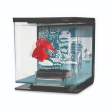 As for the design of the tank, it's smart etched glass and has classy aluminum. Better Aquariums For Betta Fish The Highland Echo