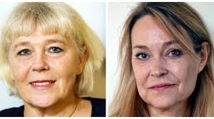 Det handlar inte om att ersätta läkare”