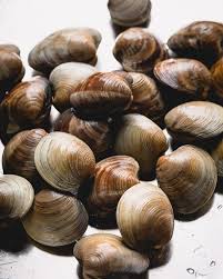 It's beef cut into small pieces and served in a sour cream and white wine sauce. How To Clean Little Neck Clams Sweet Savory