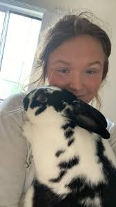 Helping a pet feel safe during fireworks