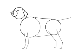 I added all the elements of the dogs' face. How To Draw A Dog Step By Step Wacom
