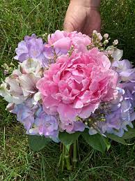 Maybe you would like to learn more about one of these? Wedding Bouquet With Blue Hydrangea Peony Freesia Waxflower And Alstroemeria Wildflowersfloris Hydrangeas Wedding Wedding Bouquets Hydrangea Bouquet Wedding