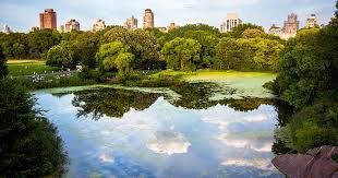 Escape the city's madness with day trips to the hudson valley, weekend ski getaways in vermont, or beach trips on. 8 Most Beautiful Neighborhoods To Live In New York City Propertynest