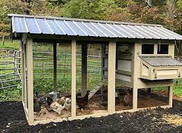 We did not find results for: Carolina Coops American Coop With Carolina Coop Roofing Backyard Chicken Coops Custom Backyard Chickens Backyard
