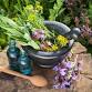 Medicine Making Classes event image