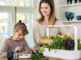 The Smart Garden 9 Is A Meticulously Designed Self Growing Indoor Garden That Revolutionizes How Fresh Fo Smart Garden Indoor Gardening Kit Indoor Herb Garden
