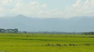 Pampa, meaning plain) are fertile south american lowlands that cover more than 1,200,000 square kilometres (460,000 sq mi). Pampas Wikipedia
