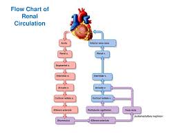 Ppt Lesson 20 Powerpoint Presentation Free Download