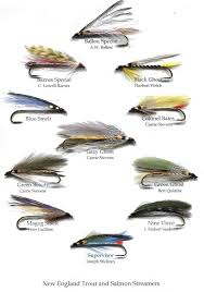 Fish Of The Month