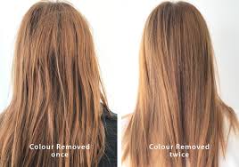Using a medium ash blonde hair dye is another good way to tone down the orange in your hair to a cool light brown shade. I Went From Brunette To Blonde Without Bleach Here S How My Hairdresser Online