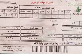 تتيح شركات الغاز الطبيعي خدمة الاستعلام عن فاتورة الغاز الطبيعي بالرقم القومي، ويتحقق هذا عند الدخول إلى موقع الشركة، وإدخال البيانات المطلوبة أهمها الرقم القومي. Ø§Ù„Ø§Ø³ØªØ¹Ù„Ø§Ù… Ø¹Ù† ÙØ§ØªÙˆØ±Ø© Ø§Ù„ØºØ§Ø² Ø§Ù„Ø·Ø¨ÙŠØ¹ÙŠ Ø¨Ø±Ù‚Ù… Ø§Ù„Ø¹Ø¯Ø§Ø¯ Ù„ØªØ³Ø¬ÙŠÙ„ Ù‚Ø±Ø§Ø¡Ø© Ø´Ù‡Ø± Ø¯ÙŠØ³Ù…Ø¨Ø± 2020 Ø¹Ù„Ù‰ Ù…ÙˆÙ‚Ø¹ Ø¨ØªØ±ÙˆØªØ±ÙŠØ¯ Petrotrade Ø¥Ù‚Ø±Ø£ Ù†ÙŠÙˆØ²