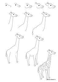 Je te conseille pour cela de dessiner pas à pas, étape par étape. Drawing Giraf Girafe Dessin Comment Dessiner Une Girafe Dessin Debutant