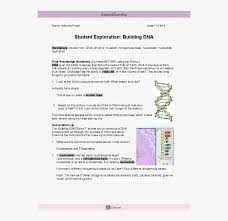 In this animated activity, learners examine the two major phases of cell division: Transparent Dna Strand Png Cell Division Gizmo Answer Key Png Download Transparent Png Image Pngitem