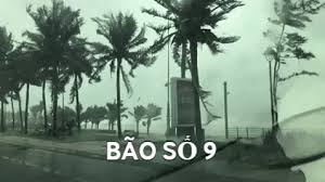 Hơn 13 giờ trưa nay, tại tp tam kỳ (quảng nam) gió vẫn đang giật mạnh làm nhiều cây ngã. Cáº­p Nháº­t Bao Sá»' 9 Nhá»¯ng Hinh áº£nh Má»›i Nháº¥t Tá»« Ä'a Náºµng