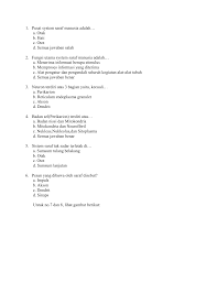 Check spelling or type a new query. Soal Dan Jawaban Sistem Saraf Peranti Guru