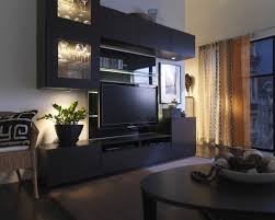 Ikea Ikea Living Room Ikea Tv Wall Unit Home