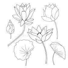 They stand tall on such a thin stem. Lotus Flower Bud Leaves Plant Set Art Monochrome Design Element Hand Drawn Ink Sketch Stock Vector Illustration Flower Art Drawing Lotus Flower Drawing Art