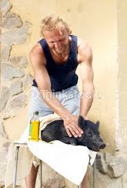 Farmer Massaging Pig Funny Photos Funny Photo Booth Funny Photo Captions