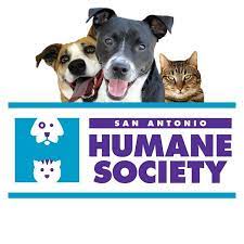 A representative for the tsa says the adoption program is still ongoing, and there are still lovable pups. San Antonio Humane Society Kids Out And About San Antonio