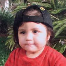 Sofia barreto (sofiabarreto6192)