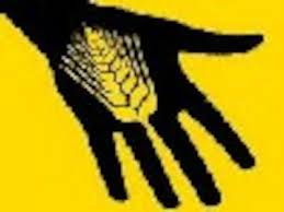 Maya Rivera Mazorco y Sergio Arispe Barrientos