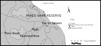 Image result for Sclerochiton obtusisepalus