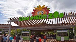 Koleksi gambar haiwan yang terbesar di dunia. 8 Kebun Binatang Terbesar Di Dunia Punya Luas Puluhan Hektar Dan Koleksi Ribuan Hewan Tribun Travel