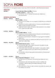 Modelli Di Curriculum Vitae In Word Livecareer