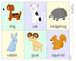 Un diseño adorable con ilustraciones de animales y plantas. Flashcards Para Imprimir Descarga Recursos Educativos Gratis