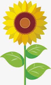 Sunflower Yellow Sunflowers Cartoon Hand Painted Flowers Cartoon Flowers Flower Wallpaper Sunflower Png