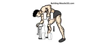 Back Workout Using Dumbbells Building Muscle 101
