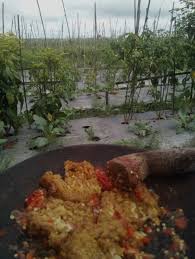 Cara membuatnya juga mudah dan di sini kamu harus menambahkan pepaya muda ke dalam sayur bayam yang dibuat. Mengajarkan Anak Mencintai Alam Dengan Bermain Di Sawah Kisah Keluarga Nara