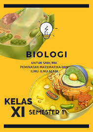 Materi yang dibahas pada soal ini yaitu cahaya dan alat optik. Biologi Xi Sistem Gerak Pada Manusia Tulang Penyusun Rangka Tubuh Uji Kompetensi 1