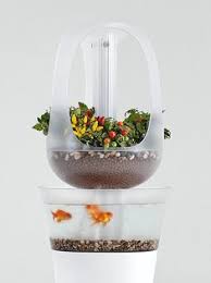 Are you facing problem to install hydroponic design ideas for pc? 75 Hydroponic Gardens And Projects Ideas In 2021 Hydroponics Urban Garden Hydroponic Gardening