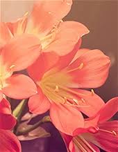 Obituary information for Jennifer Keyser