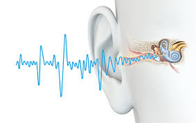 Piepen Oder Rauschen Im Ohr Anzeichen Fur Einen Tinnitus Binko Ginkgo