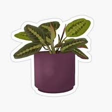 Feel like an easy diy project this weekend? Green House Stickers Redbubble
